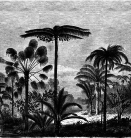 Esta Home Esta Home Paradise PhotowallXL Palm Trees Engraving 158952