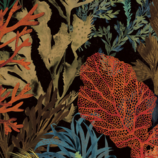 Hooked on Walls Hookedonwalls Caribbean behang Bora Bora 27220