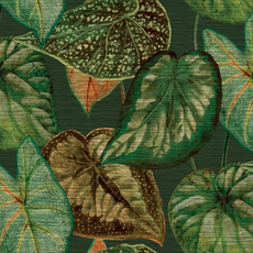 Hooked on Walls Hookedonwalls Tahiti behang Tropical Leaves TA250254