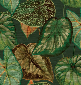 Hooked on Walls Hookedonwalls Tahiti behang Tropical Leaves TA250254