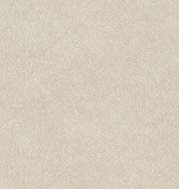 Hooked on Walls Hookedonwalls Tahiti behang Leather Plain TA25020