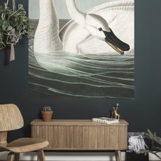 Kek Amsterdam KEK Amsterdam Flora & Fauna behangpaneel Trumpeter Swan PA-001