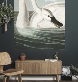 Kek Amsterdam KEK Amsterdam Flora & Fauna behangpaneel Trumpeter Swan PA-001