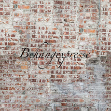 Behang Expresse Behangexpresse COLORchoc Wallprint 6084