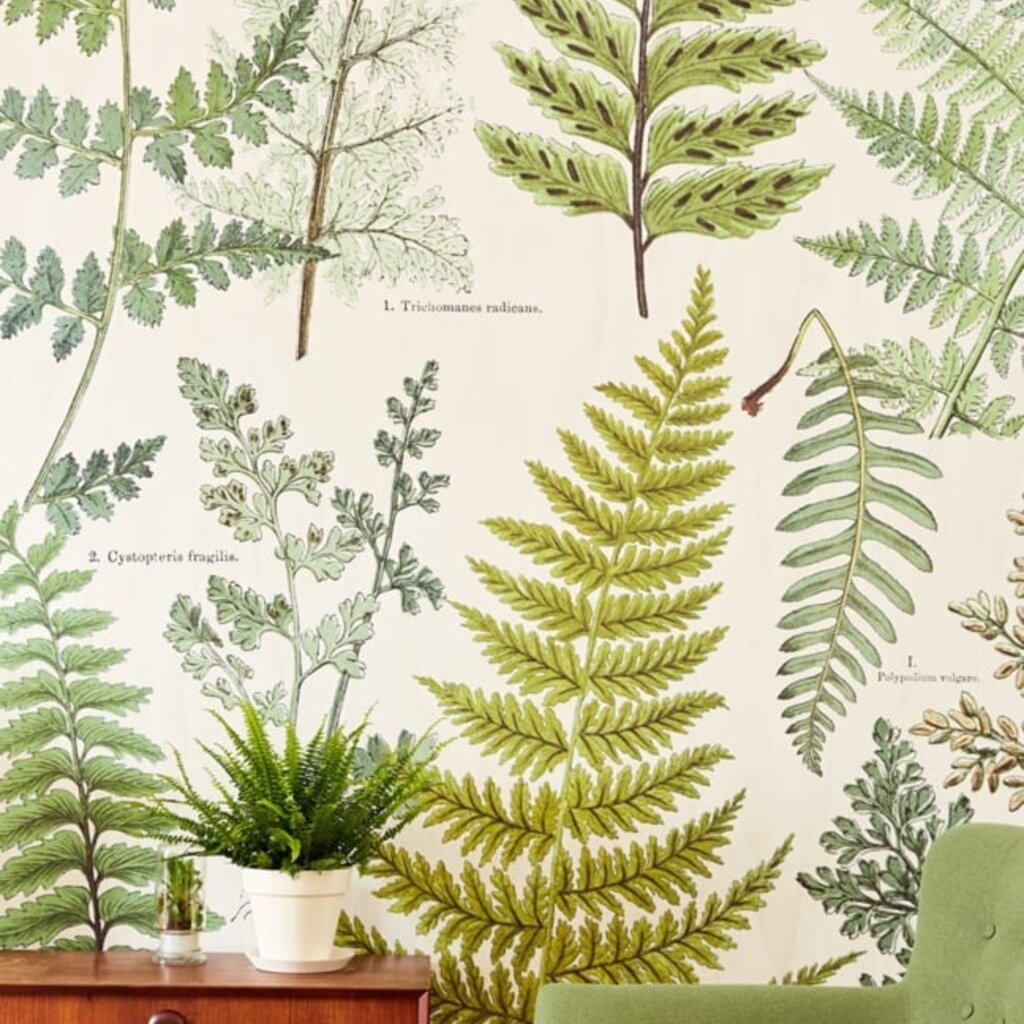 Eijffinger Eijffinger Geonature Wallpower 366104 Hebarium Green