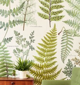 Eijffinger Eijffinger Geonature Wallpower 366104 Hebarium Green