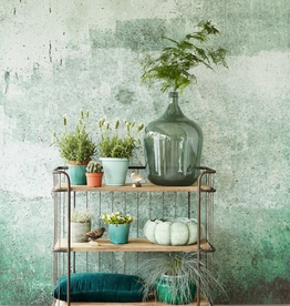 Eijffinger Eijffinger Resource Wallpower 369151 Green Weathered Wall