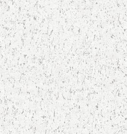 Dutch Wallcoverings Dutch First Class Arber behang Callie White/Silver DL26705