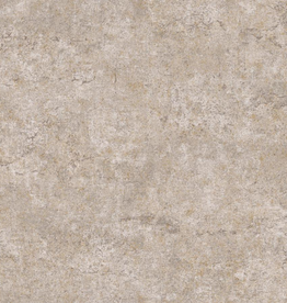Dutch Wallcoverings Dutch First Class Arber behang Colt Warm Taupe DL26752