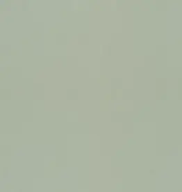 Dutch Wallcoverings Dutch First Class Klara & Tove behang Pistage 77005