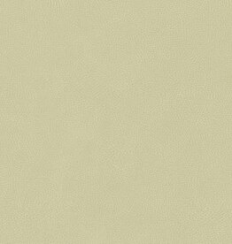 Hooked on Walls Hookedonwalls Milano behang Pelle 42874