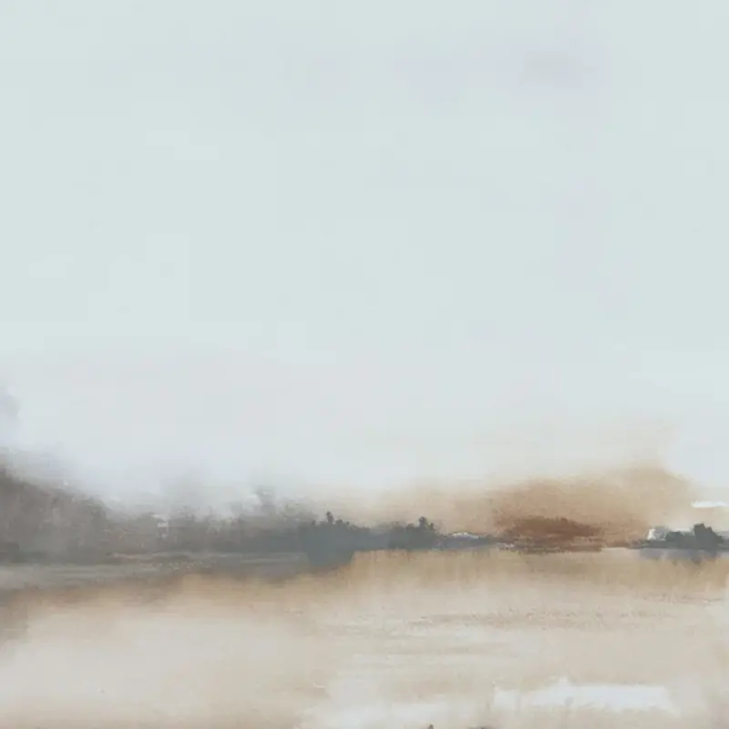 Hooked on Walls Hookedonwalls Martha Corthese Panorama Horizon 37876