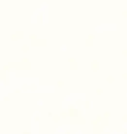 Hooked on Walls Hookedonwalls New Bali behang 46806