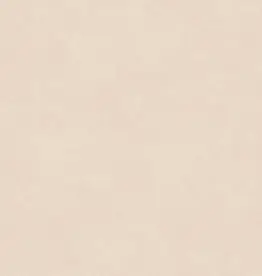 Hooked on Walls Hookedonwalls New Bali behang 46808