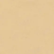 Hooked on Walls Hookedonwalls New Bali behang 46810