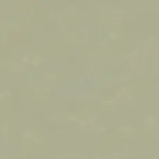 Hooked on Walls Hookedonwalls New Bali behang 46821