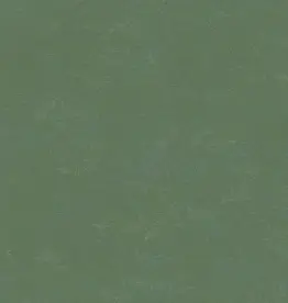 Hooked on Walls Hookedonwalls New Bali behang 46823