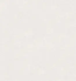 Hooked on Walls Hookedonwalls New Bali behang 46836