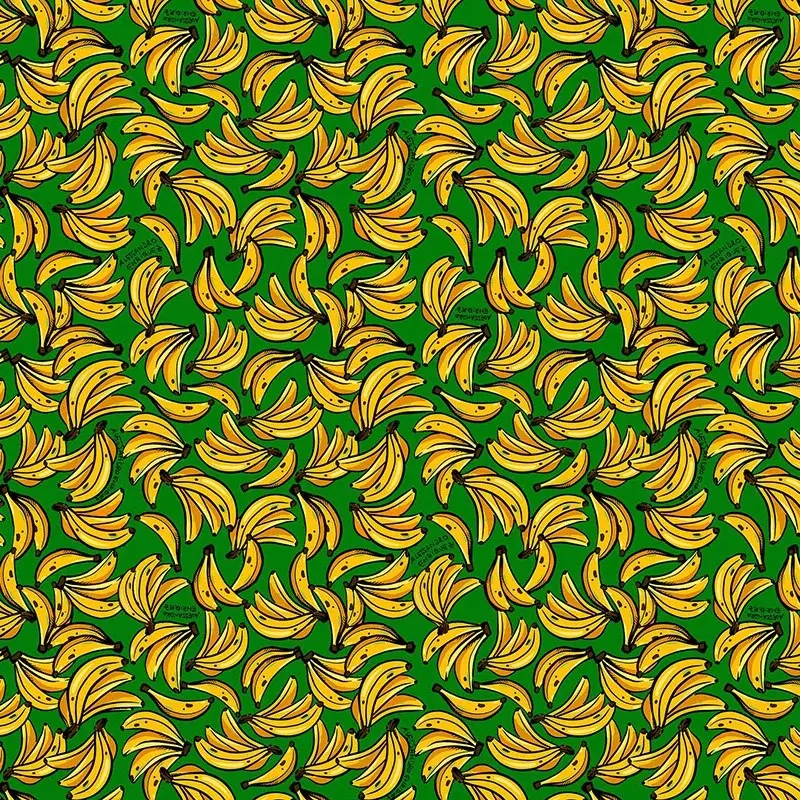 Hooked on Walls Hookedonwalls Enriquezland behang Banane 25541