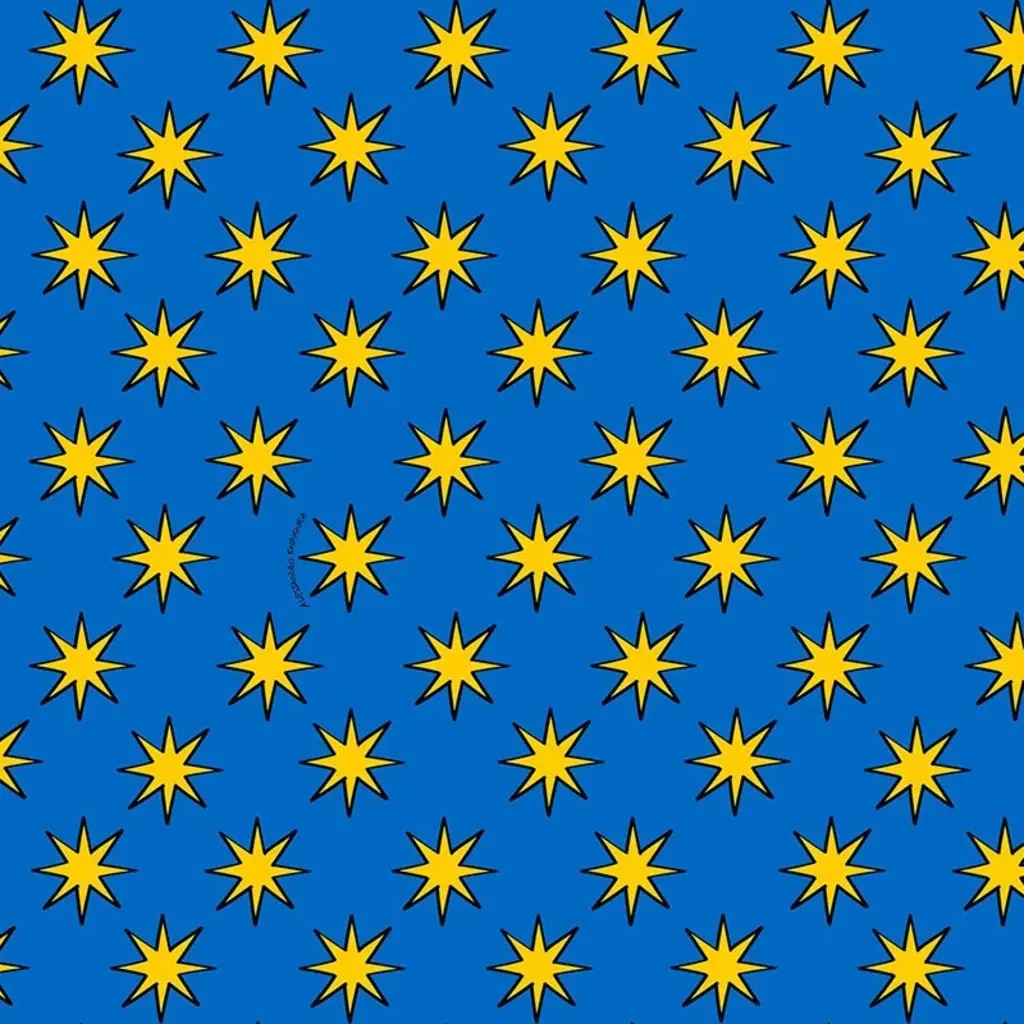 Hooked on Walls Hookedonwalls Enriquezland behang Stelle 25519