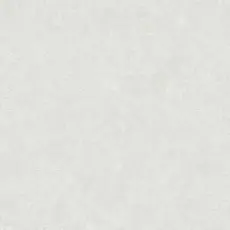 Hooked on Walls Hookedonwalls Academy behang Unito Airone 25660