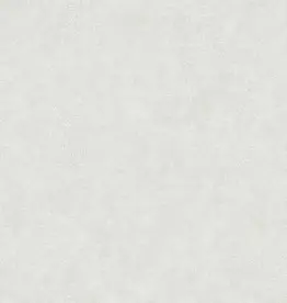 Hooked on Walls Hookedonwalls Academy behang Unito Airone 25660