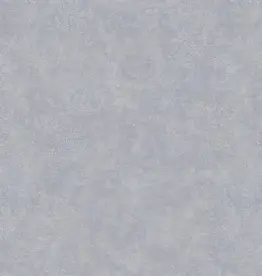 Hooked on Walls Hookedonwalls Academy behang Unito Airone 25666