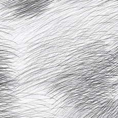 Hooked on Walls Hookedonwalls Marimekko behang Lepo 25143