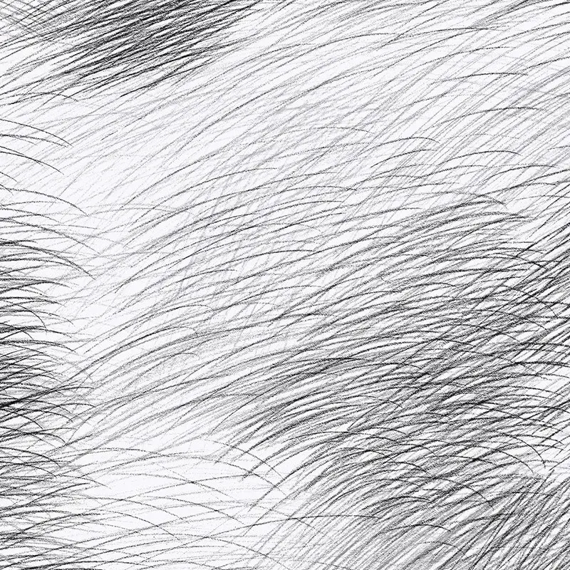 Hooked on Walls Hookedonwalls Marimekko behang Lepo 25143