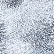 Hooked on Walls Hookedonwalls Marimekko behang Lepo 25141