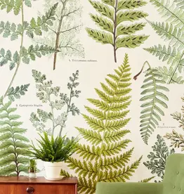 Eijffinger Eijffinger Geonature Wallpower 366104 Hebarium Green