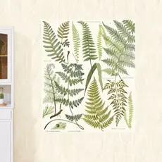 Eijffinger Eijffinger Geonature Wallpower 366102 Athyrium