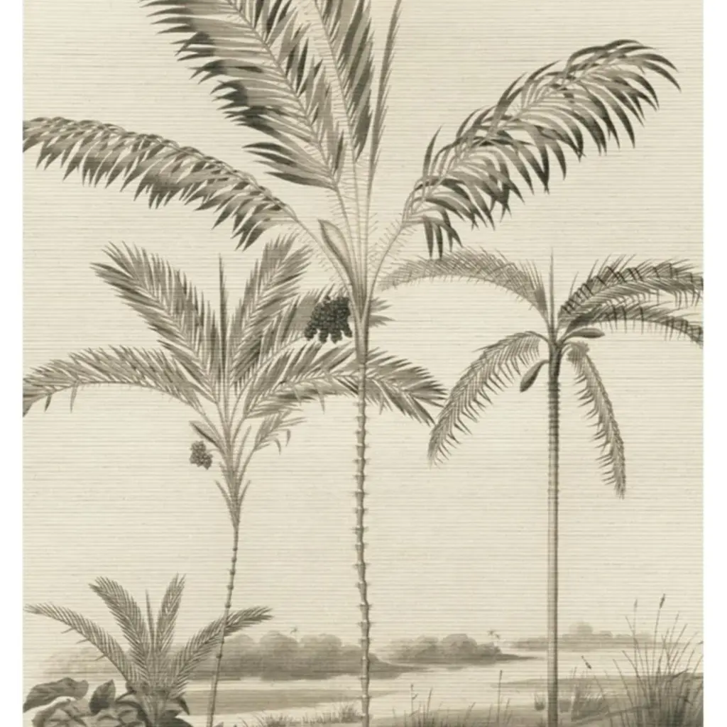 Eijffinger Eijffinger Oasis Wallpower Palm Portrait Black and White 317407