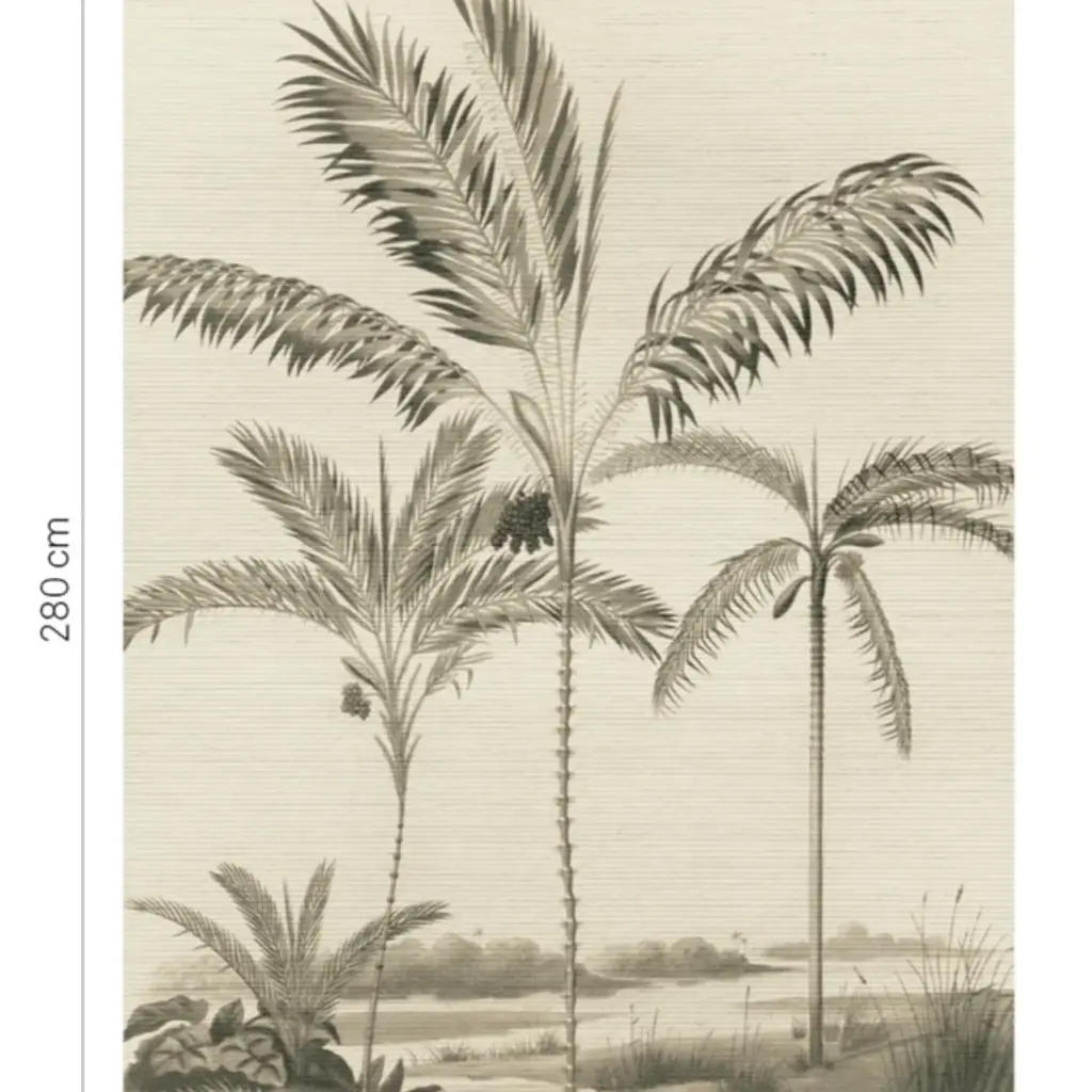 Eijffinger Eijffinger Oasis Wallpower Palm Portrait Black and White 317407