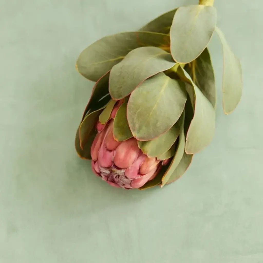 Eijffinger Eijffinger Unify behang 333221