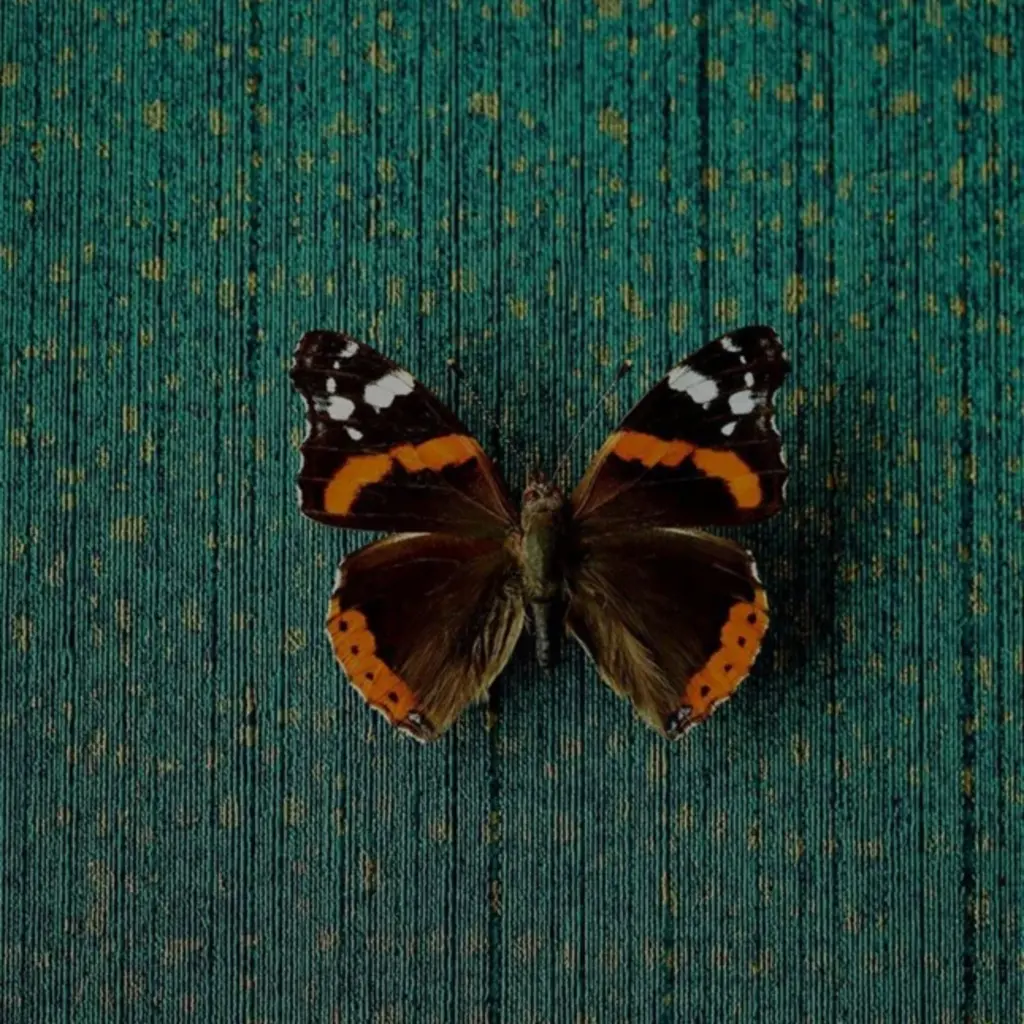 Eijffinger Eijffinger Unify behang 333266