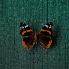 Eijffinger Eijffinger Unify behang 333266