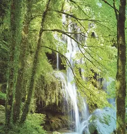 Eijffinger Eijffinger Wallpower Junior 364134 Forest