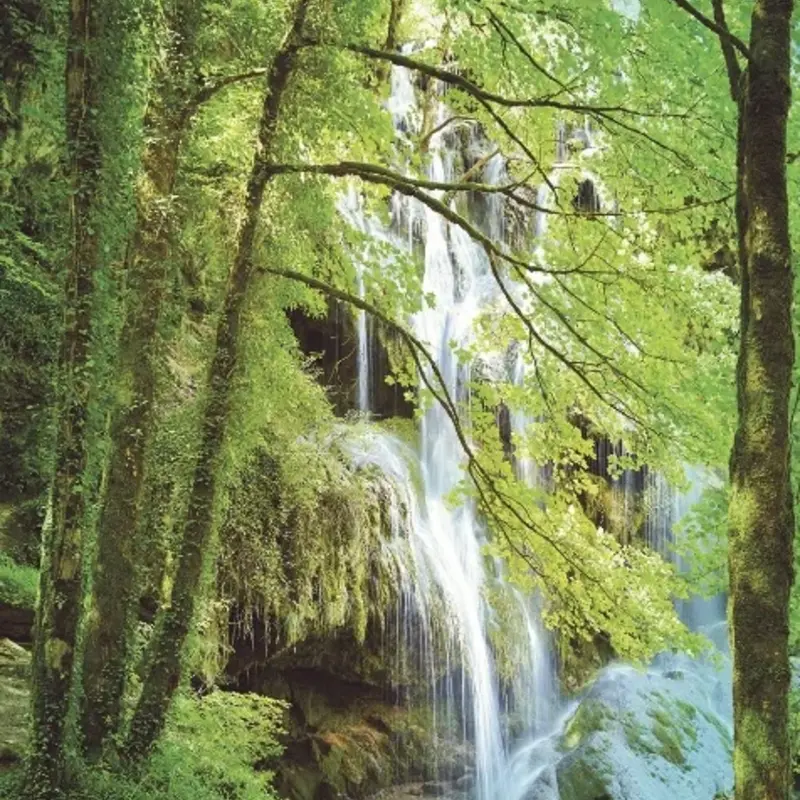 Eijffinger Eijffinger Wallpower Junior 364134 Forest