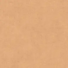 Hooked on Walls Hookedonwalls Promenade behang Sand 20237