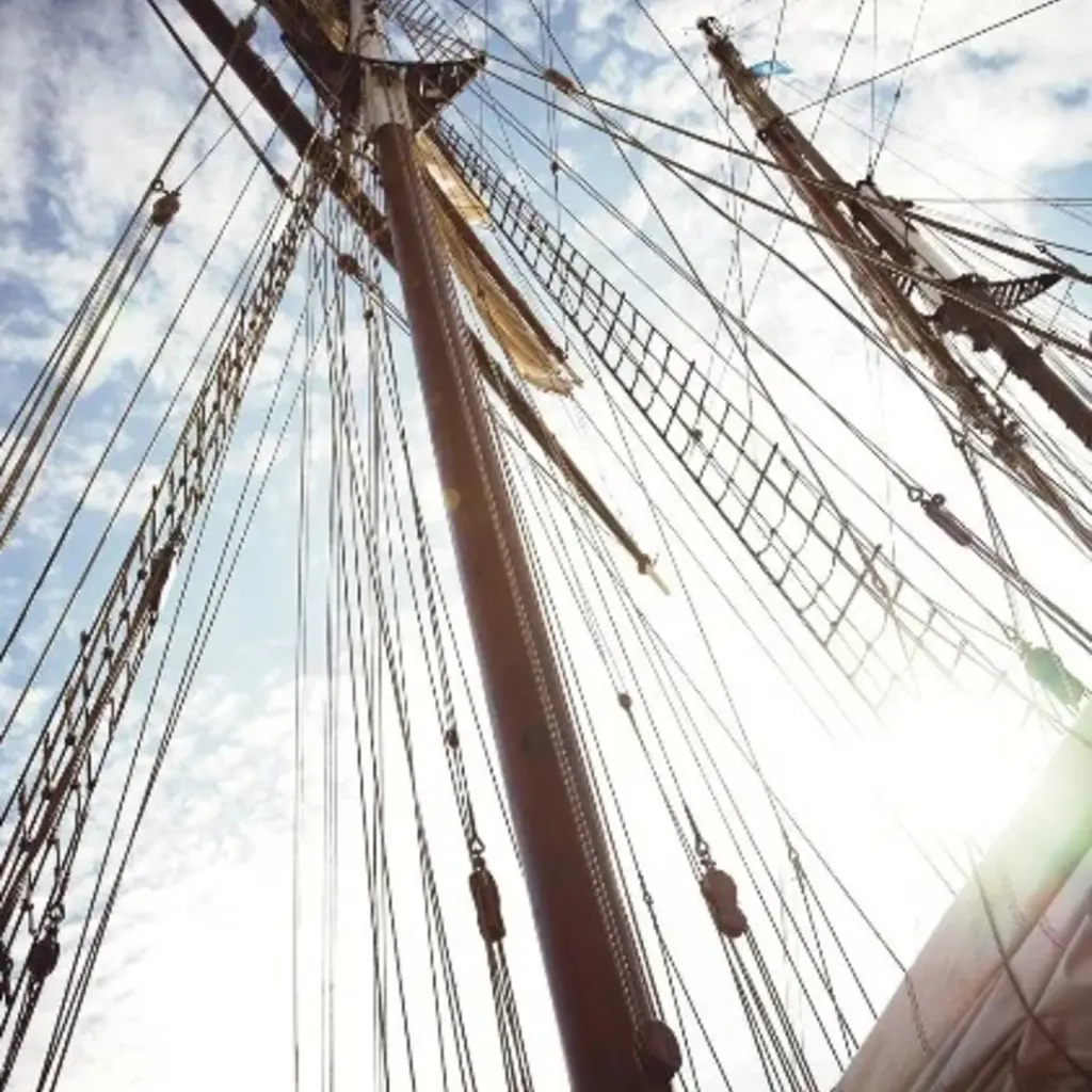 Eijffinger Eijffinger Wallpower Junior 364142 The Mast