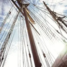 Eijffinger Eijffinger Wallpower Junior 364142 The Mast