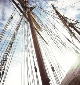 Eijffinger Eijffinger Wallpower Junior 364142 The Mast