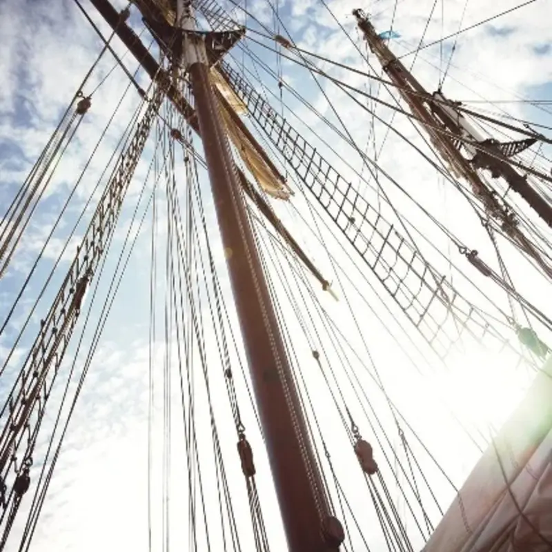 Eijffinger Eijffinger Wallpower Junior 364142 The Mast