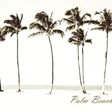 Eijffinger Eijffinger Wallpower Junior 364148 Palm Beach