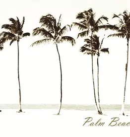 Eijffinger Eijffinger Wallpower Junior 364148 Palm Beach