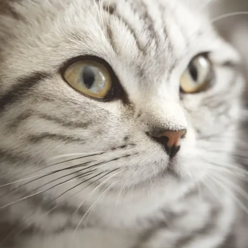 Eijffinger Eijffinger Wallpower Junior 364123 Lady