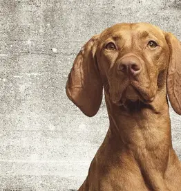 Eijffinger Eijffinger Wallpower Junior 364124 Woof Concrete