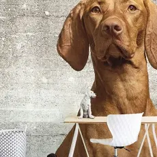 Eijffinger Eijffinger Wallpower Junior 364124 Woof Concrete