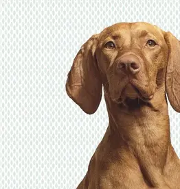 Eijffinger Eijffinger Wallpower Junior 364125 Woof Print